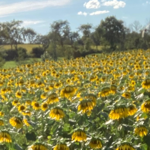 Meet your Posher, London - Picture 1 of 1